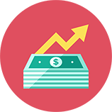 Startup Business Income